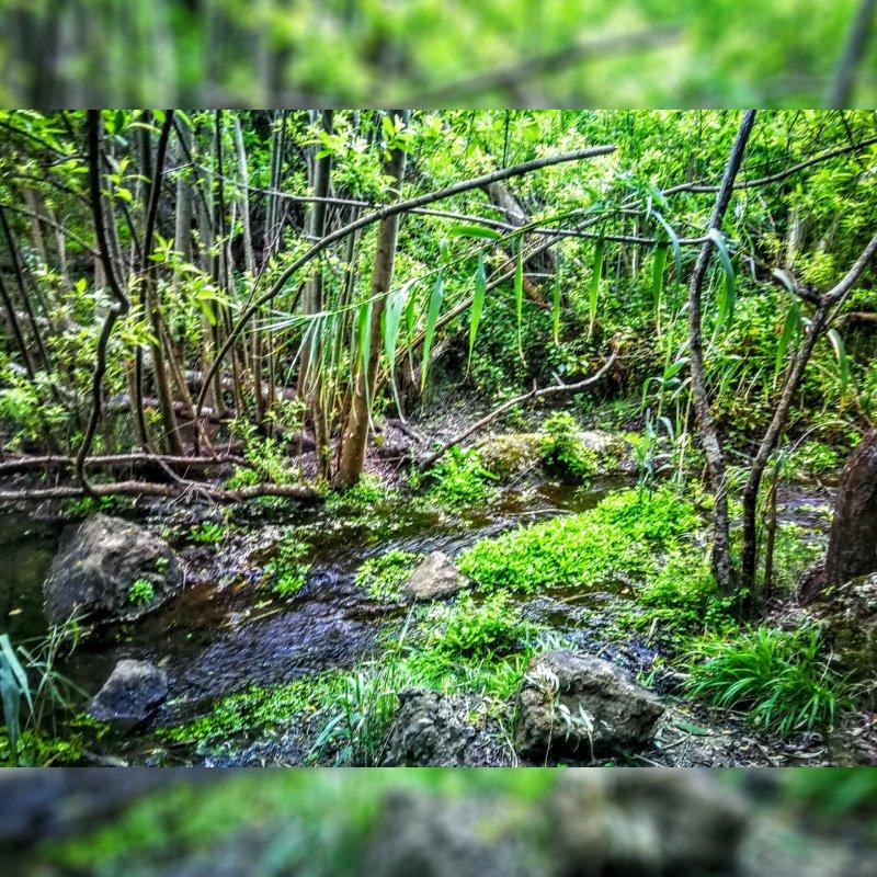 visita barranco de los cernicalos